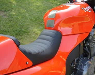 6813350d9c3c0_triumphspeedtriple2 (Copier).jpg